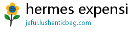 hermes expensive bag